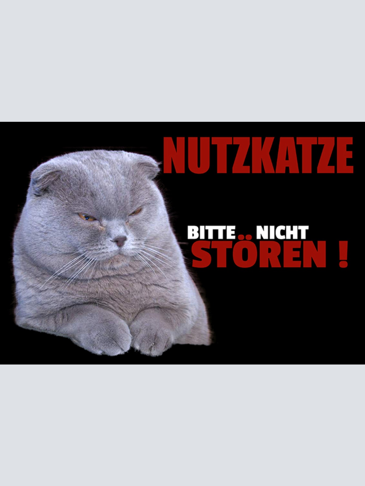 Schild Spruch Nutzkatze Bitte nicht stören Perserkatze JW