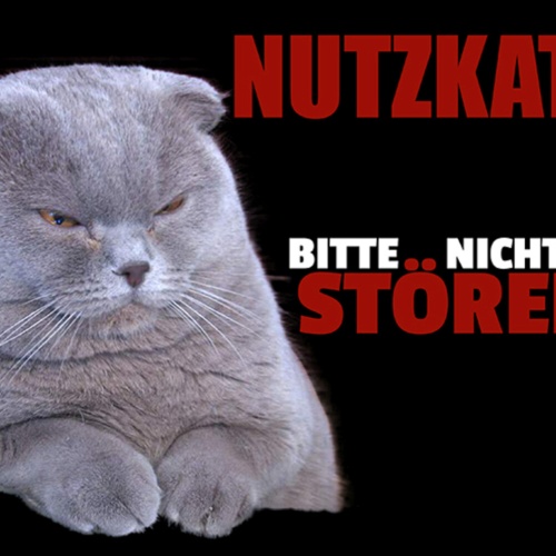 Schild Spruch Nutzkatze Bitte nicht stören Perserkatze JW