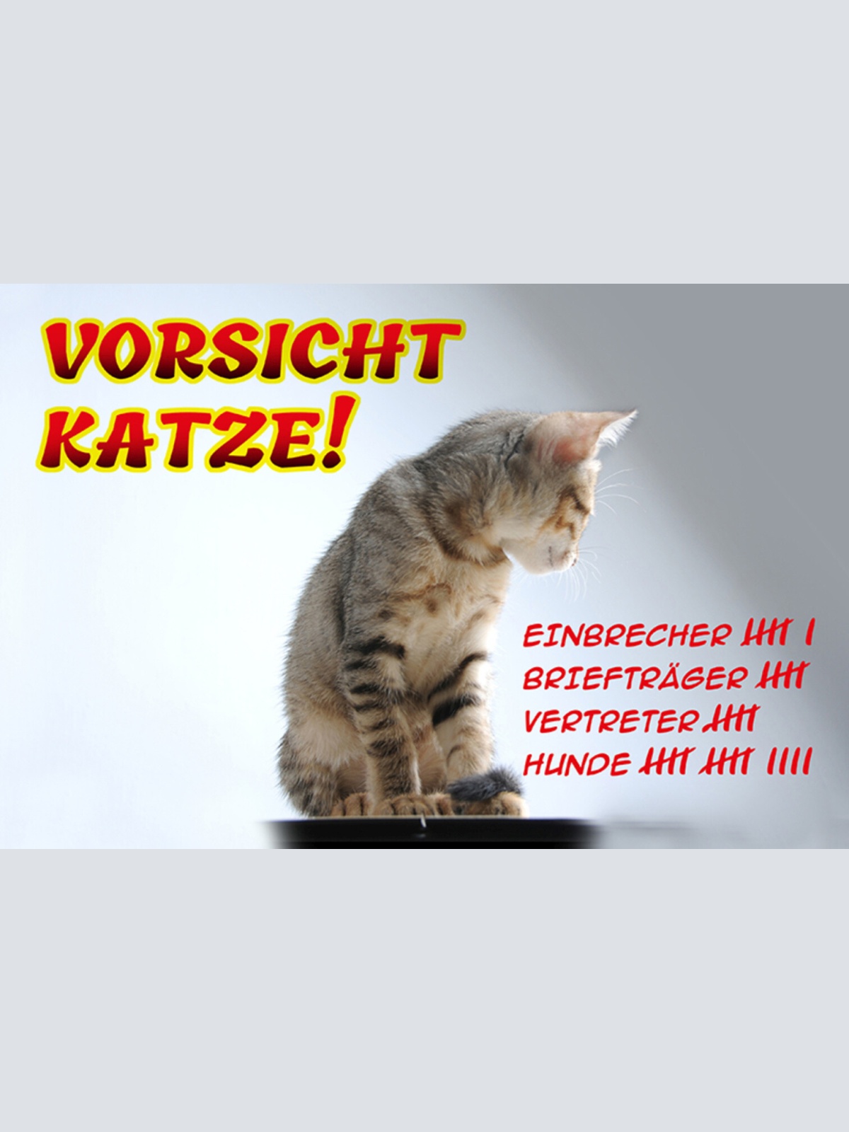 Schild Spruch Vorsicht Katze Einbrecher Briefträger Vertreter Hunde Warnung JW