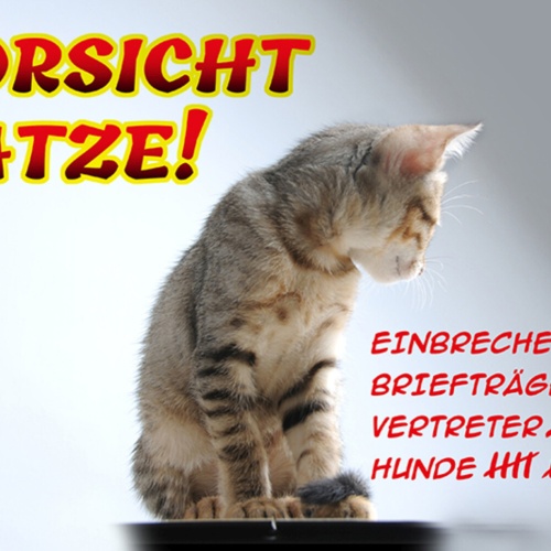 Schild Spruch Vorsicht Katze Einbrecher Briefträger Vertreter Hunde Warnung JW