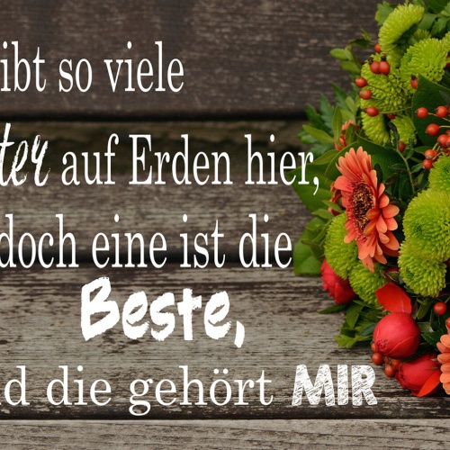 Schild Spruch Viele Mütter auf Erden mit gehört beste Mama Mutti JW