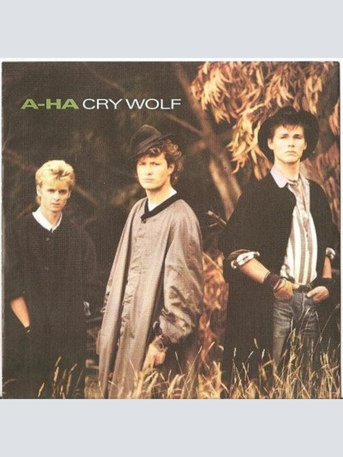 7", Single a-ha - Cry Wolf