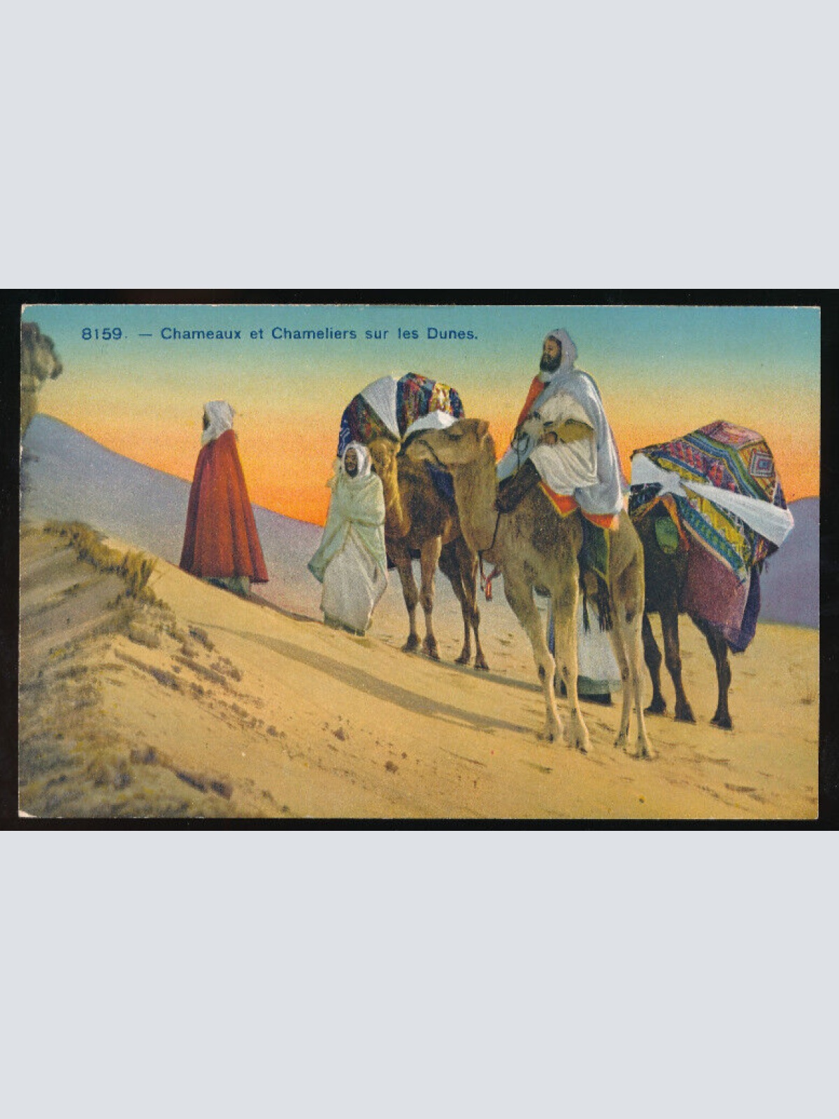 AK Kamele und Kameltreiber in den Dünen Afrika (681)