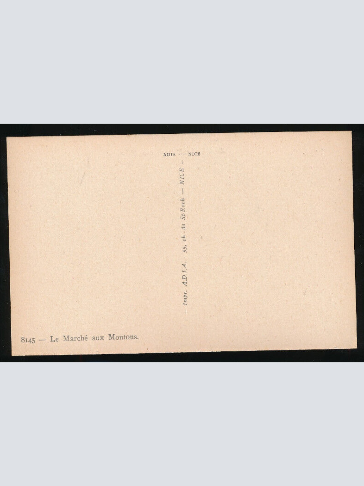 AK vom Schafmarkt mit Menschen und Schafen Afrika (677)