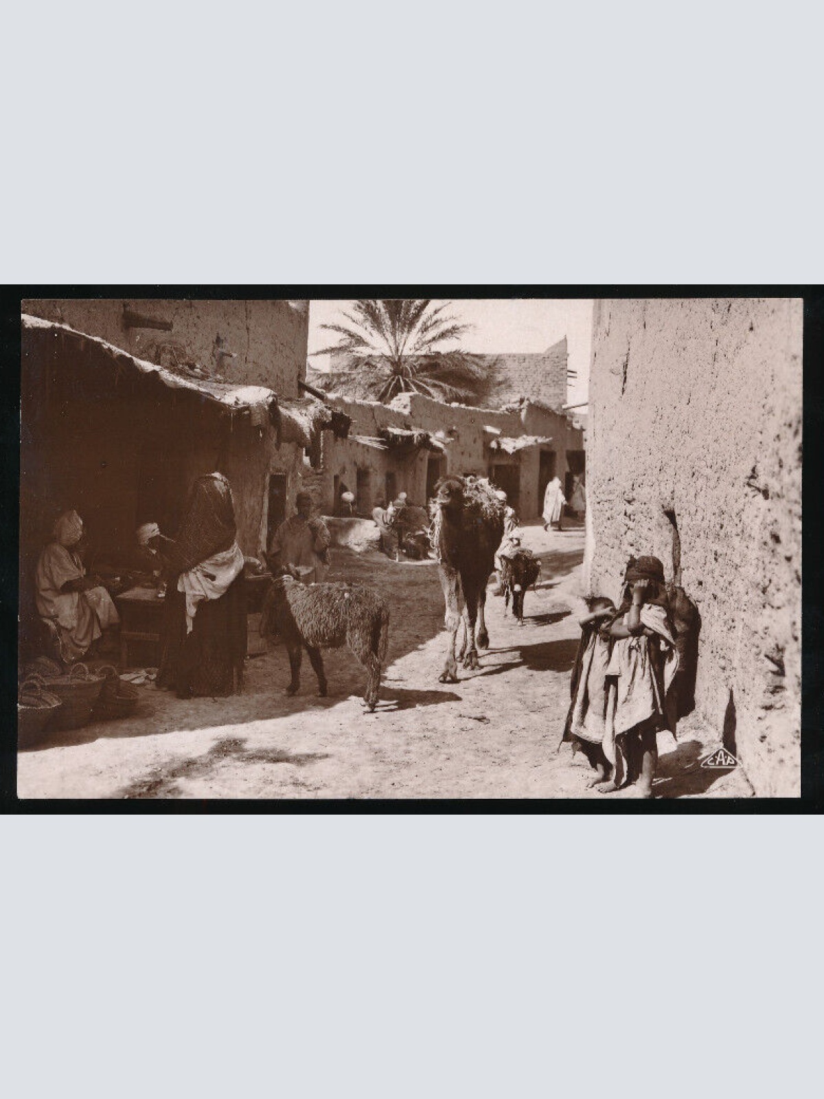 AK von einer Arabischen mit Kamel und Esel Dorfstraße Afrika (676)