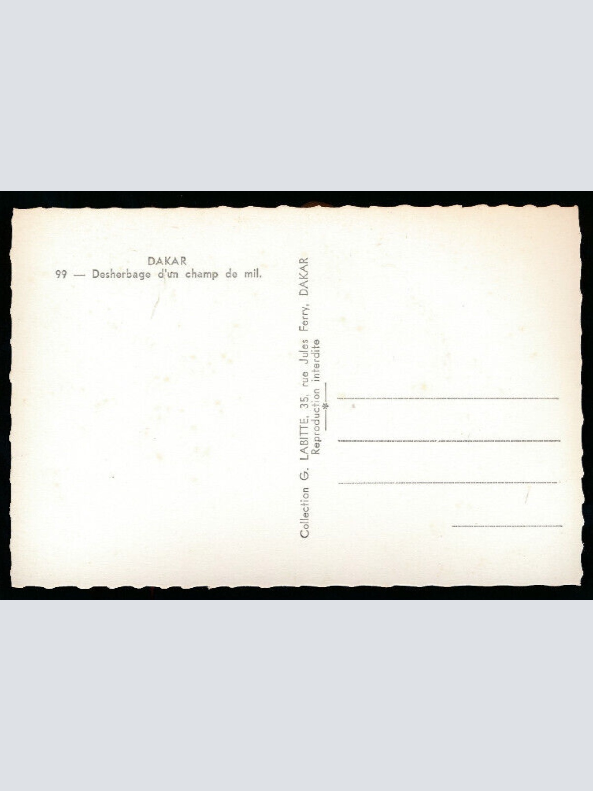 AK aus Dakar Feldarbeiten Desherbage d´un champ de mil Afrika (673)
