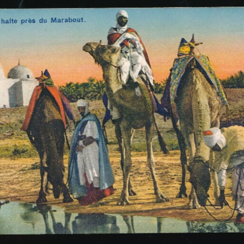 AK aus Tunesien Kamelreiter mit Kamelen Afrika (679)