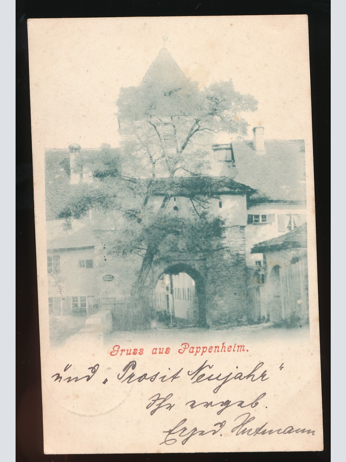 AK gruss aus Pappenheim Bayern Deutschland (439)