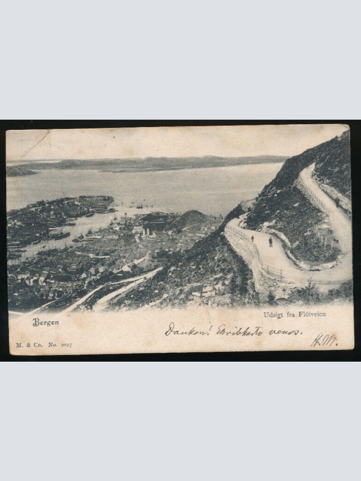 AK aus Bergen Udsigt frs Floivien Norwegen (927)