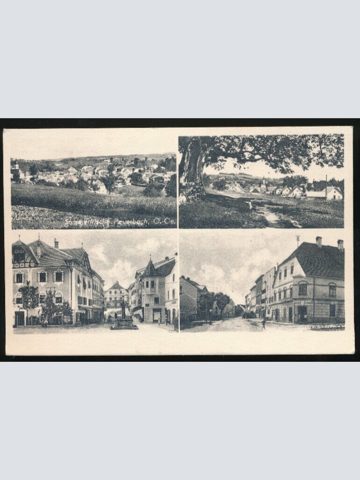 AK aus Peuerbach Mehrbildkarte Oberösterreich (866)