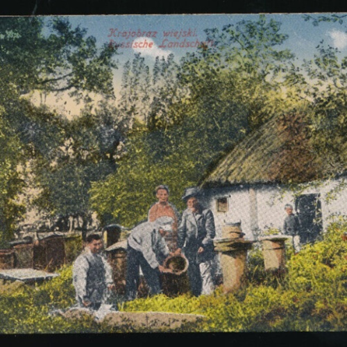 AK aus Russland Bauerndorf (910)