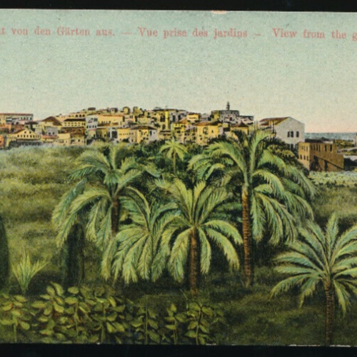 AK aus Jaffa von den Gärten aus - View from the Garden Israel (994)