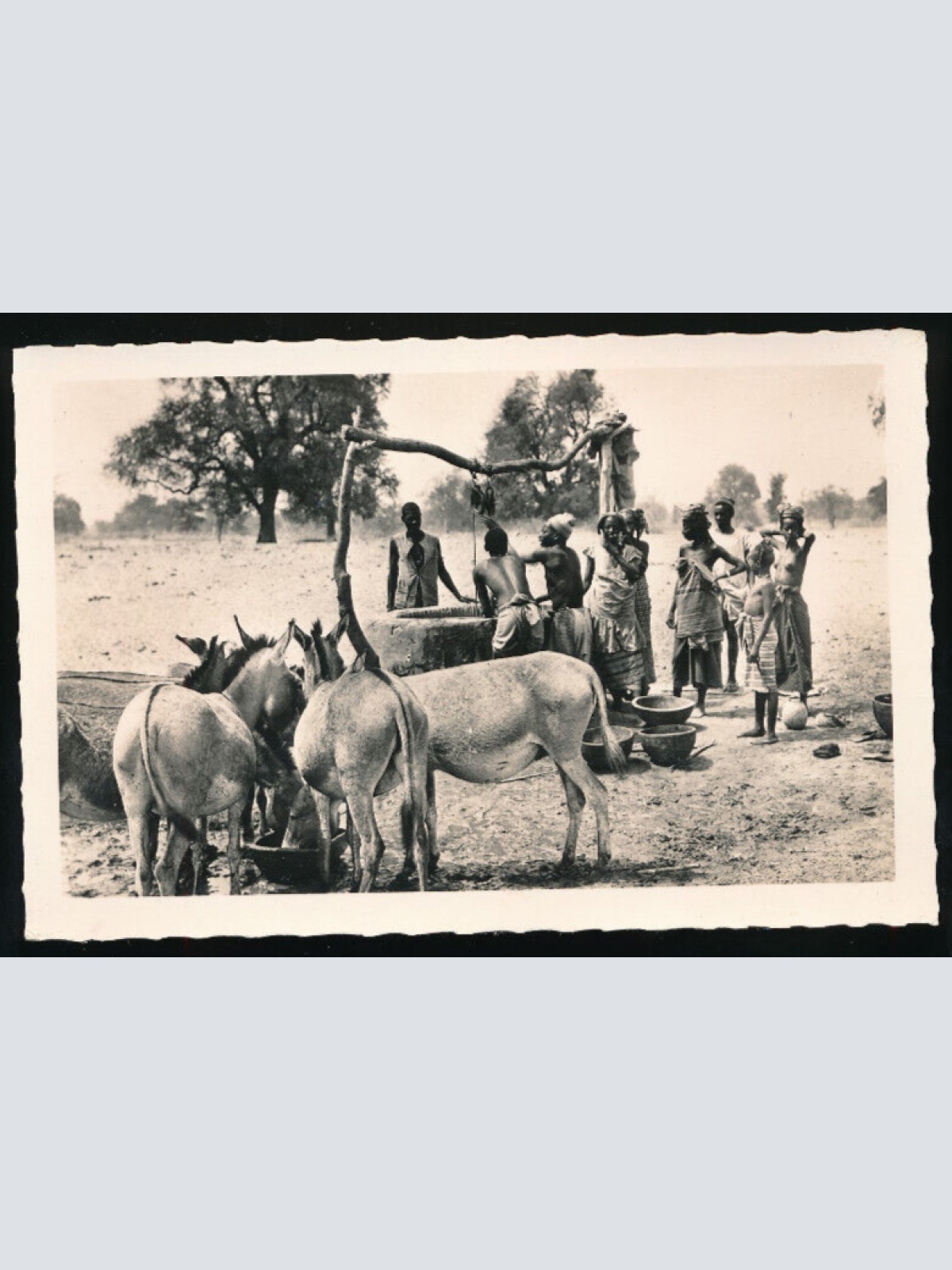 AK aus Senegal Au puits près de Thiès - Am Brunnen bei Thiès mit Esel (1053)