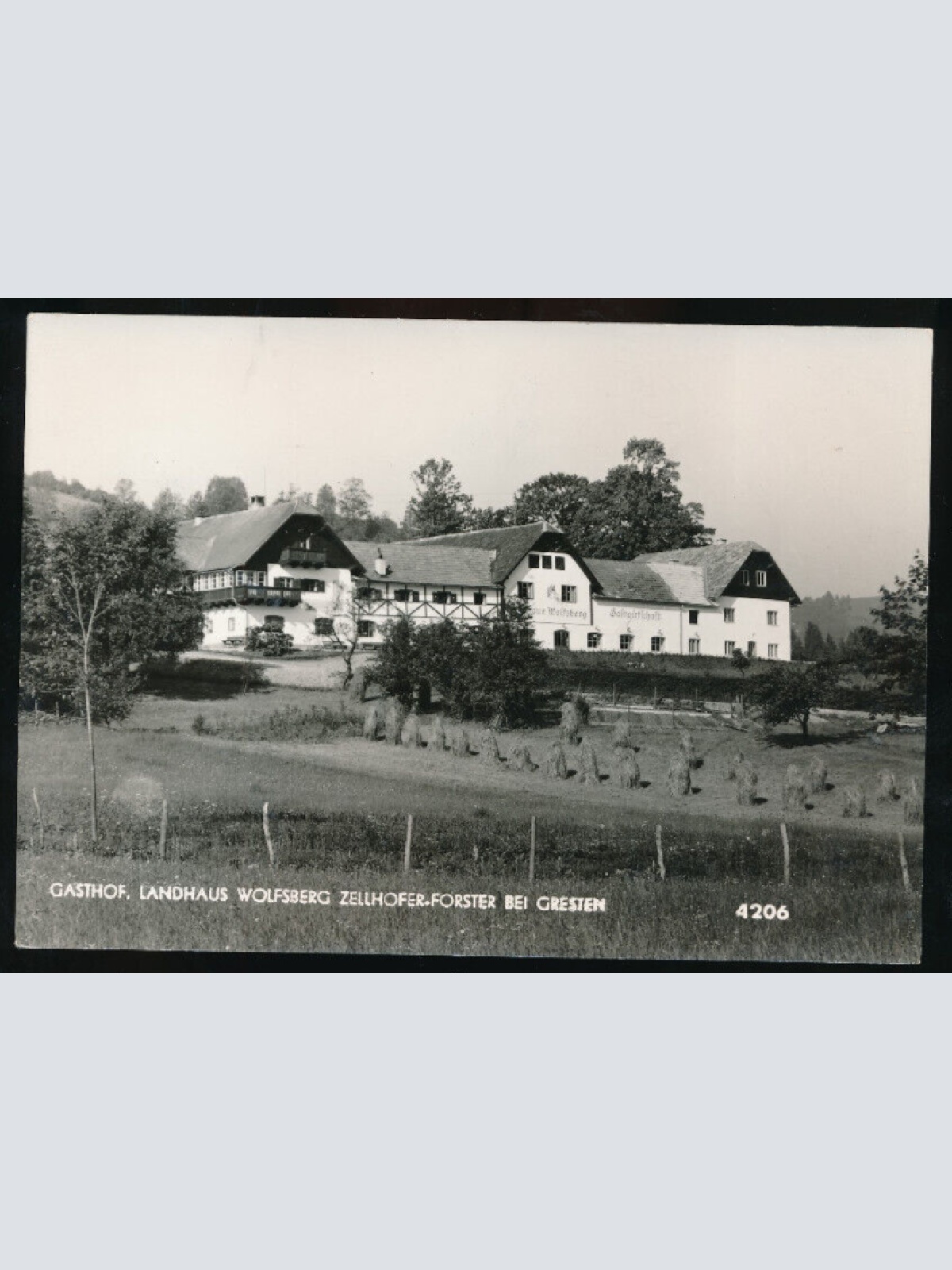 AK aus Gresten Gasthof Wolfsberg Niederösterreich (1495)