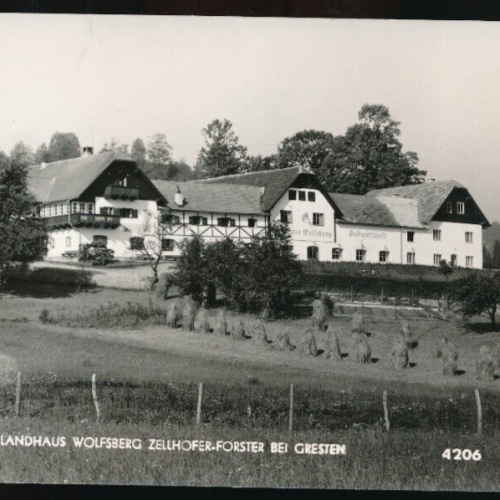 AK aus Gresten Gasthof Wolfsberg Niederösterreich (1495)