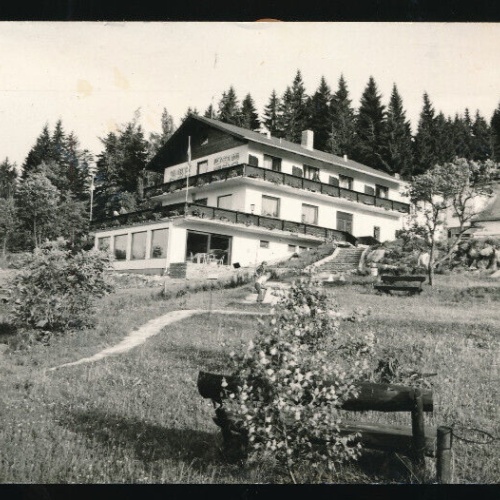 AK aus Weitra mit Waldpension Nebelstein Niederösterreich (1468)