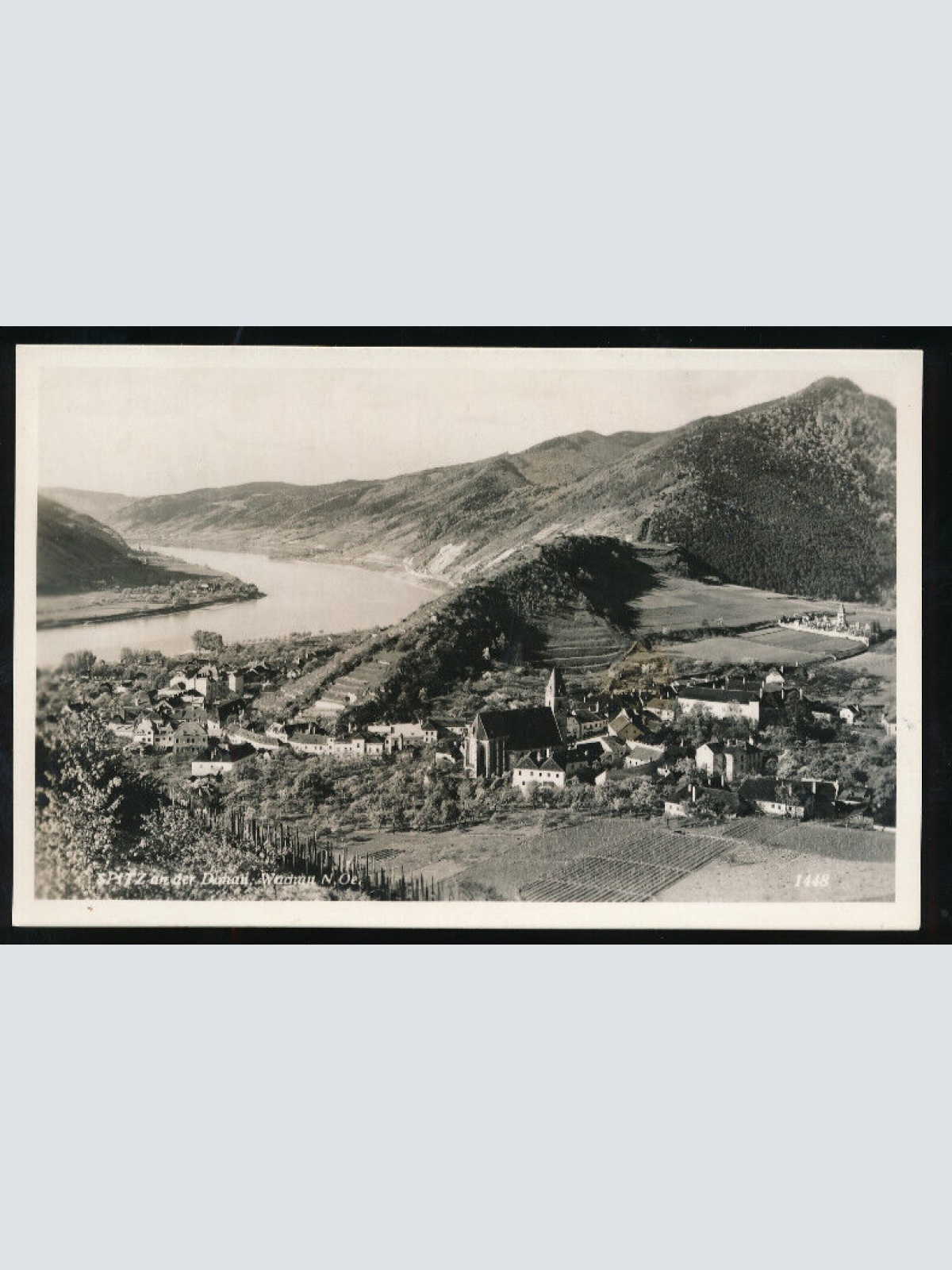 AK aus Spitz an der Donau Niederösterreich (1342)