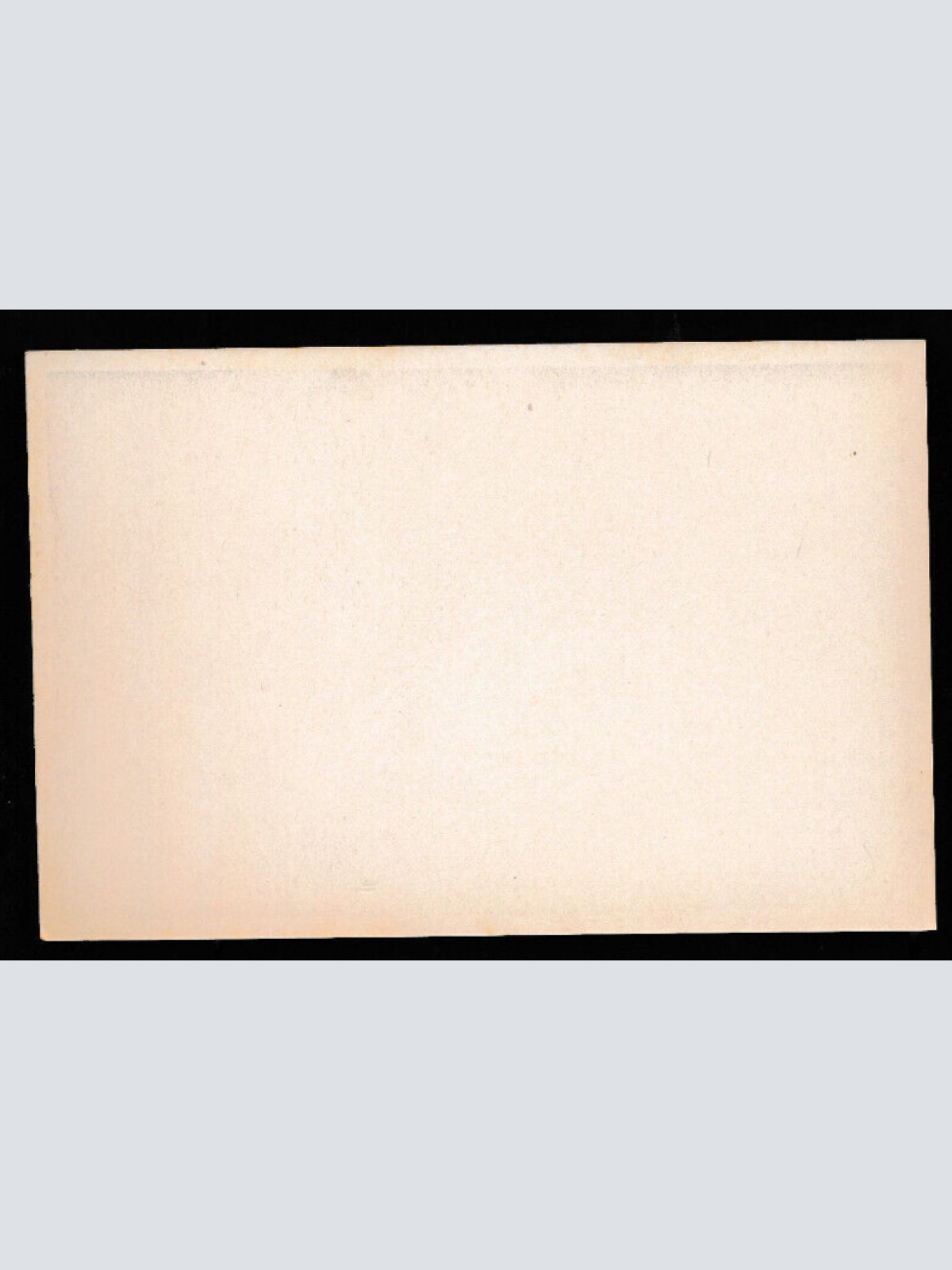 AKT Foto - Nackt - Busen Nackte Frau posiert auf Baumstamm, Neudruck ! (1182)