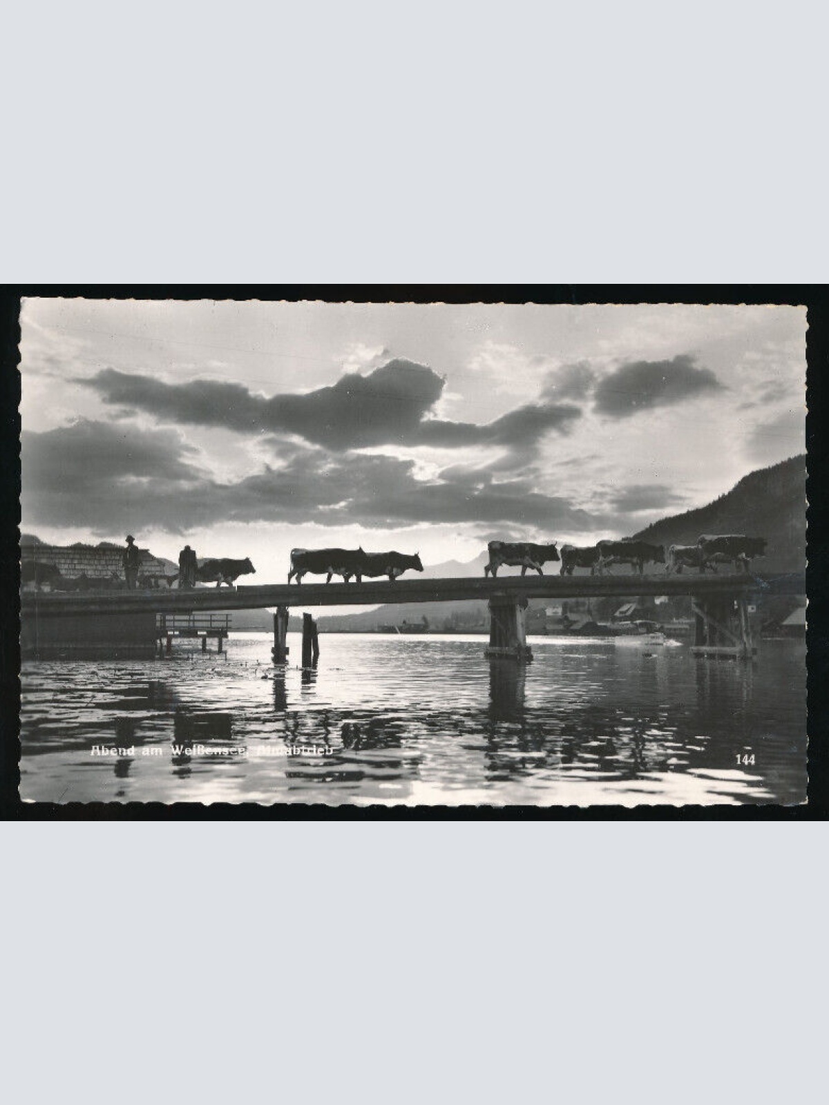 AK vom Weißensee Almabtrieb der Weidetiere Kärnten (1791)