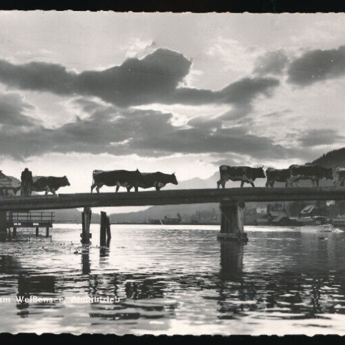 AK vom Weißensee Almabtrieb der Weidetiere Kärnten (1791)