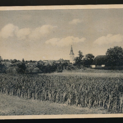 AK aus Fels a.Wagram Niederösterreich (2071)