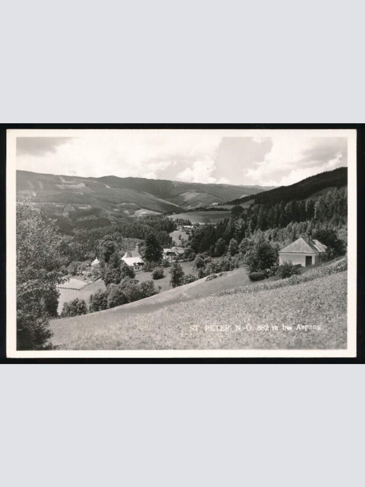 AK aus St.Peter bei Aspang Niederösterreich (2359)