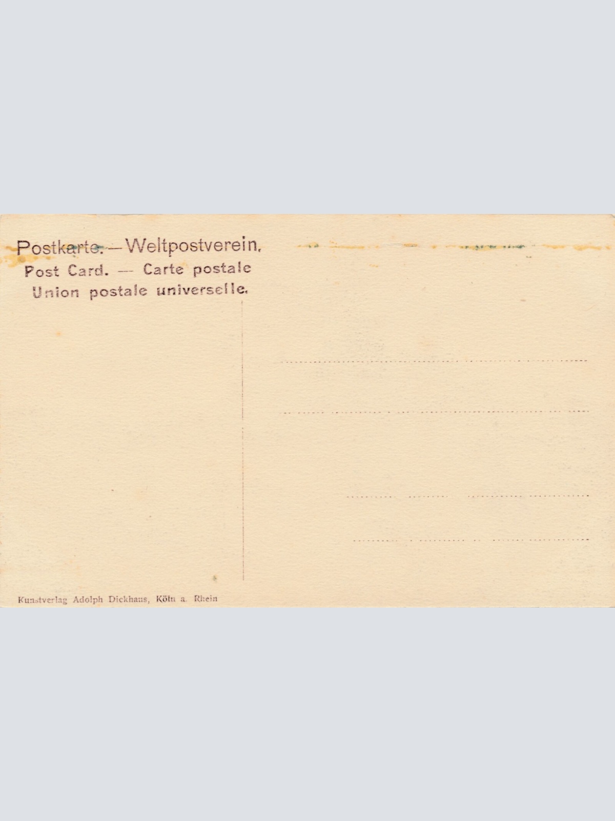 AK, Godesberg, die Ruine, AK, Nordrhein-Westfalen (S75)