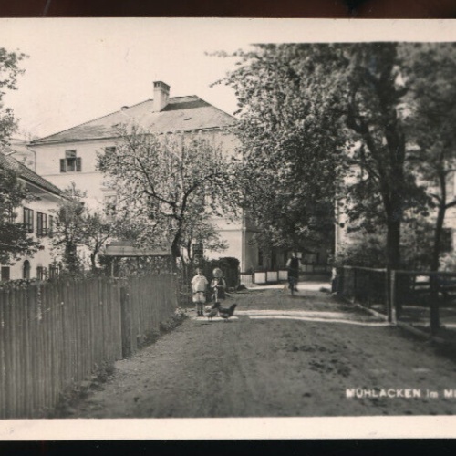 AK aus Mühlacken Oberösterreich (2457)