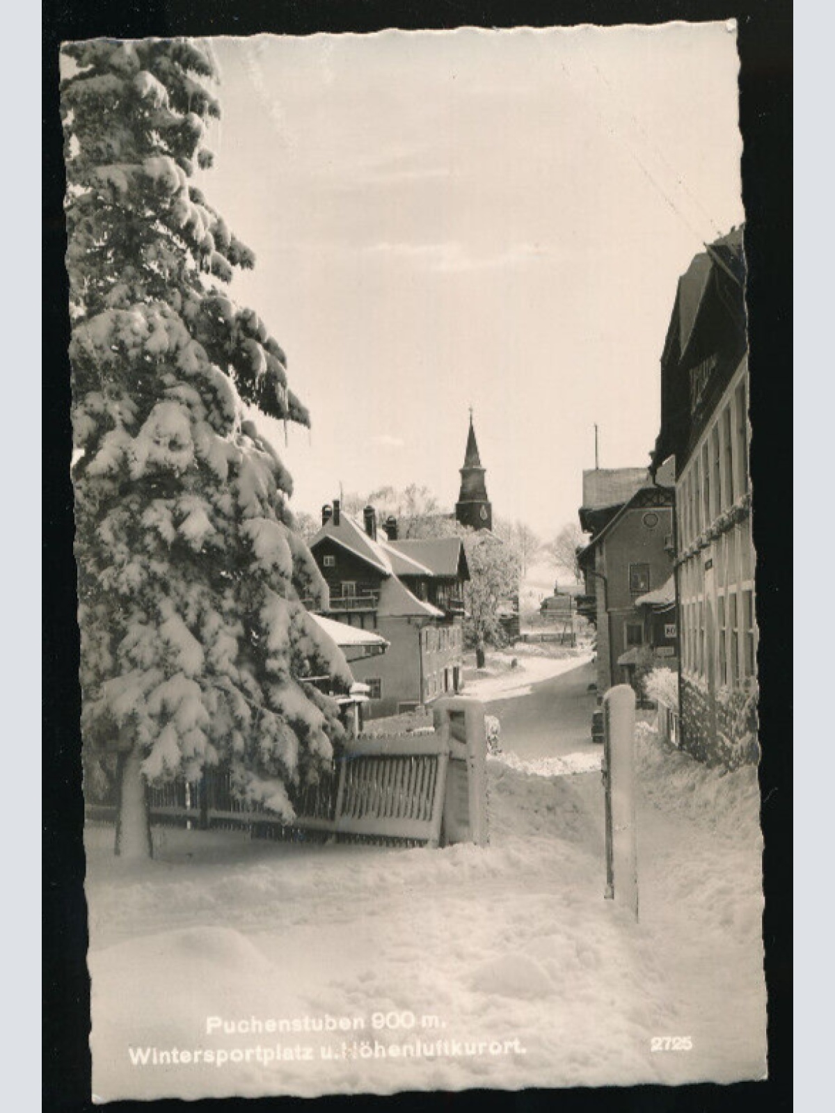 Winter - Karte aus Puchenstuben Wintersportplatz Niedrösterreich (2200)