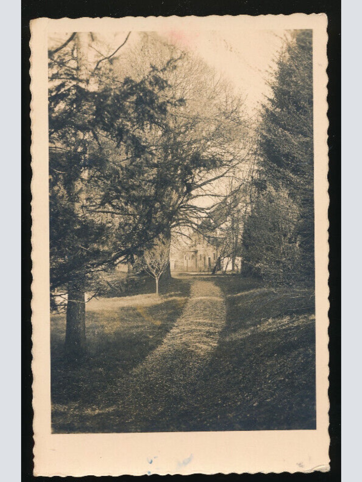 AK aus Mühlheim Oberösterreich (2631)