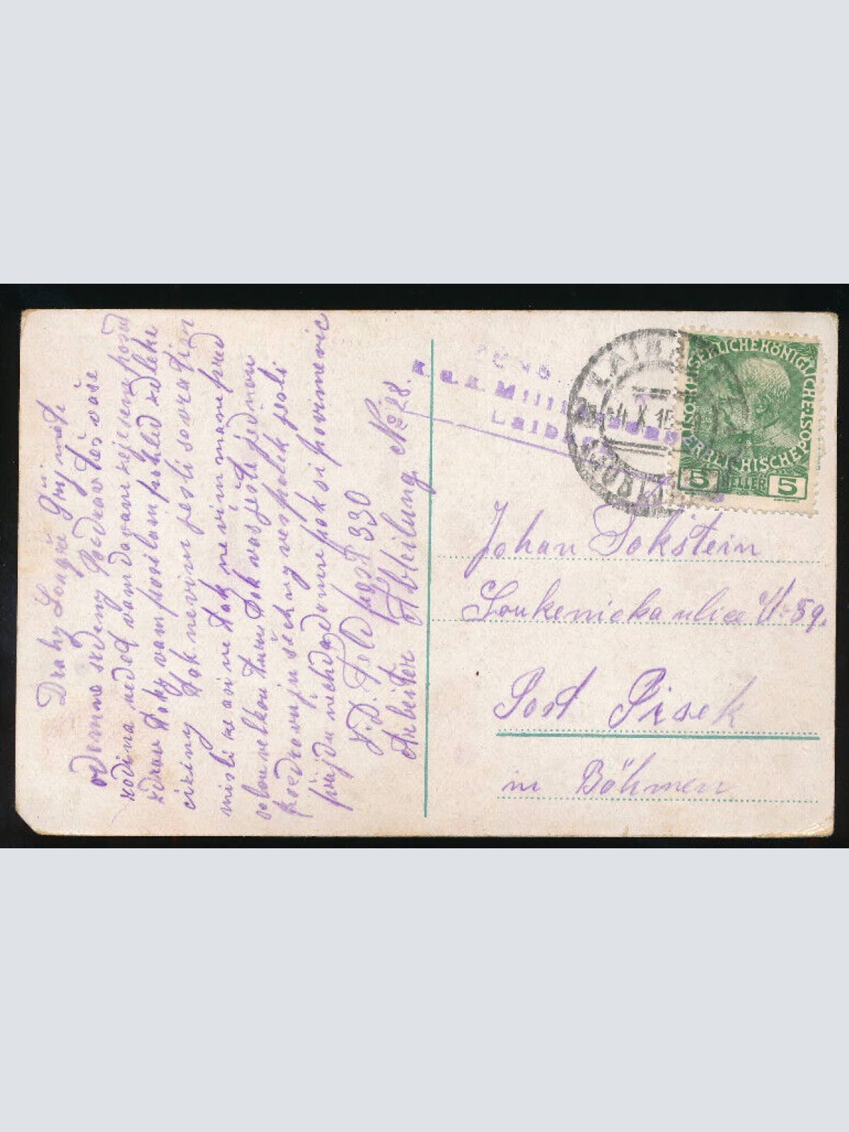 AK aus Ljubljana - Laibach mit Steiner Alpen Slowenien (3252)