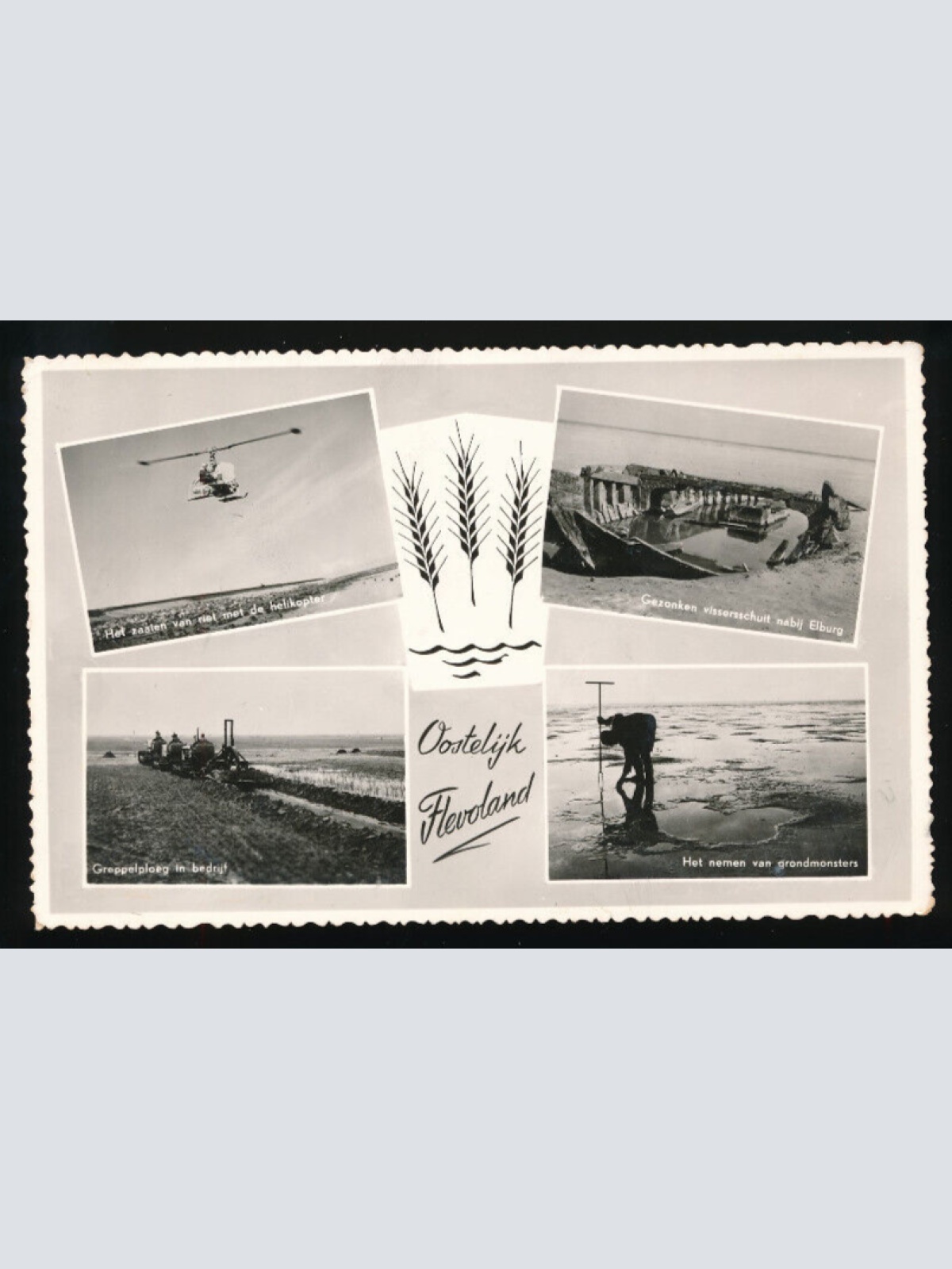 AK aus Hevoland Mehrbildkarte Gelderland Niederlande (2707)