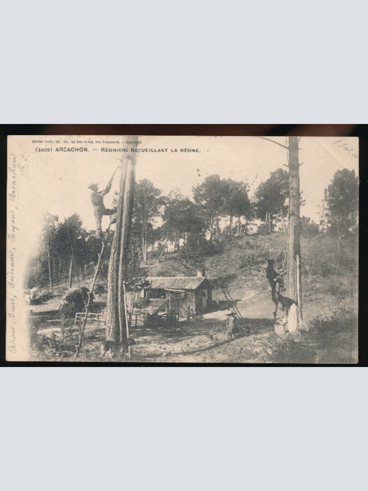 AK aus Arcachon Bauern bei der Arbeit Resiniers Recueillant la Resine (3289)