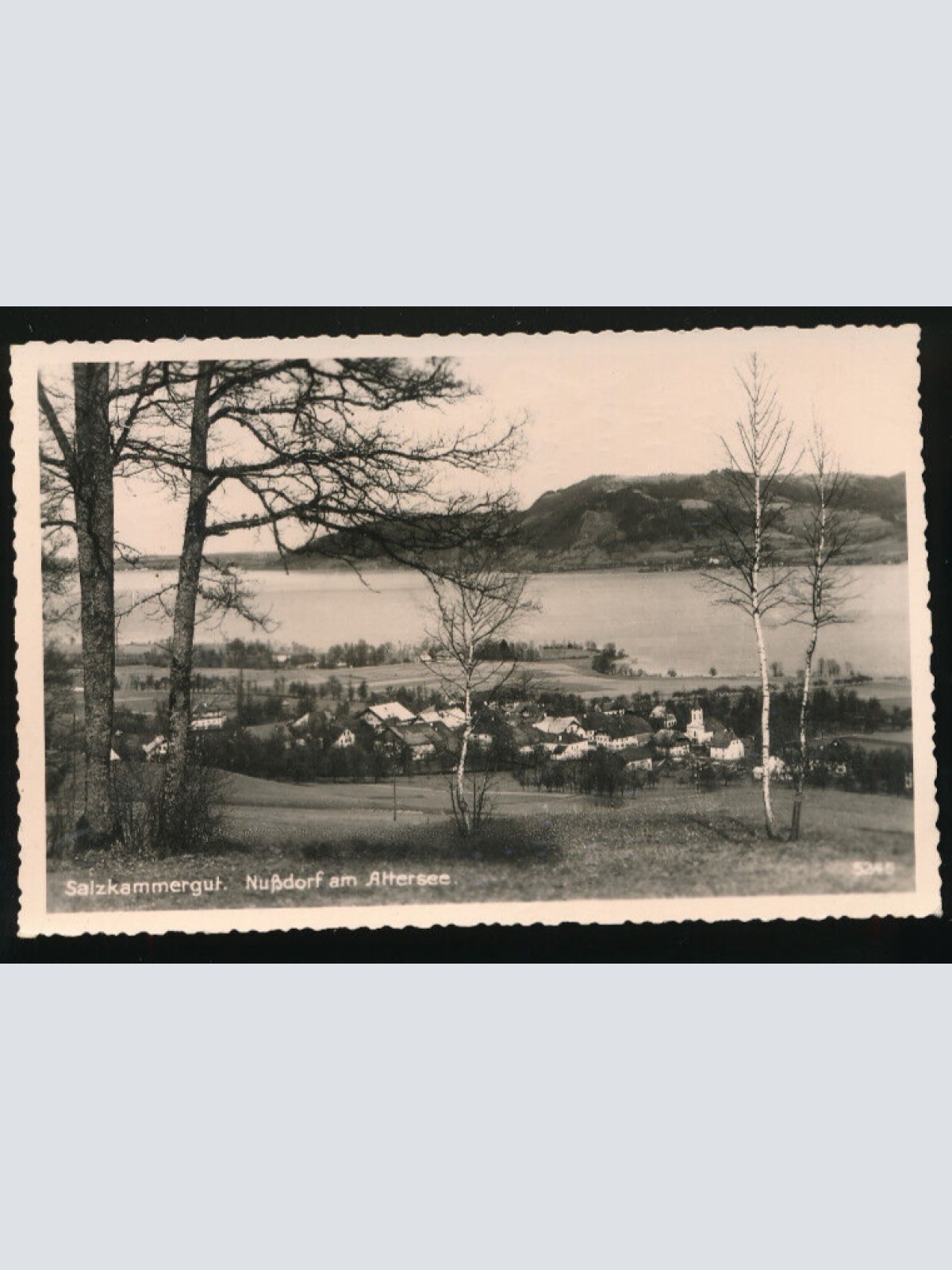 AK aus Nußdorf am Attersee Oberösterreich (2903)