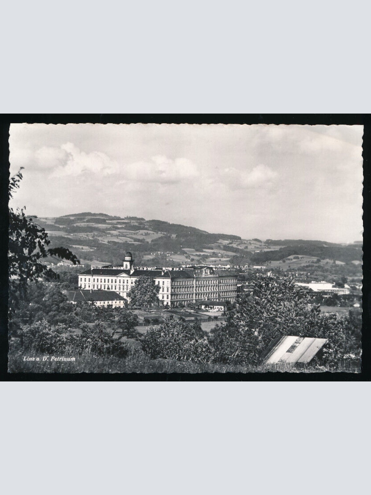 AK aus Linz an de Donau Petrinum Oberösterreich (2477)