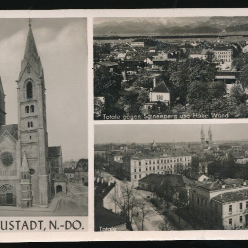 AK aus Wr. Neustadt Mehrbildkarte Niederösterreich (3488)