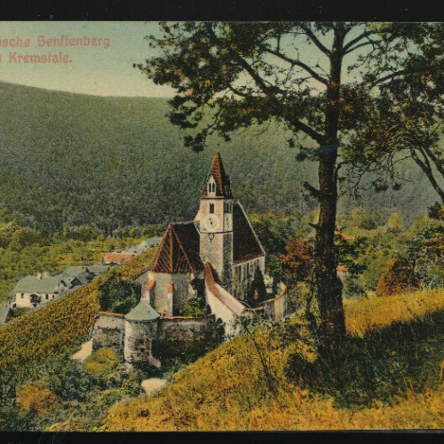 AK aus Senftenberg im Kremstale Niederösterreich (3339)