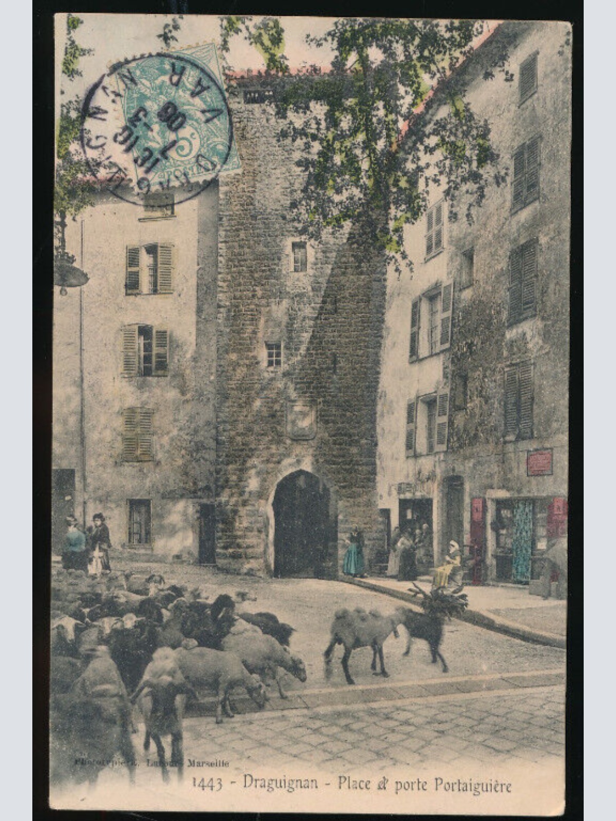 AK aus Draguignan Place el porte Portaiguiere mit Schafen Frankreich (3285)