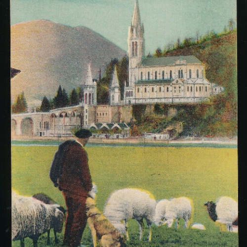 AK aus Lourdes Mann mit Schafen und Hund Bauernleben (3434)