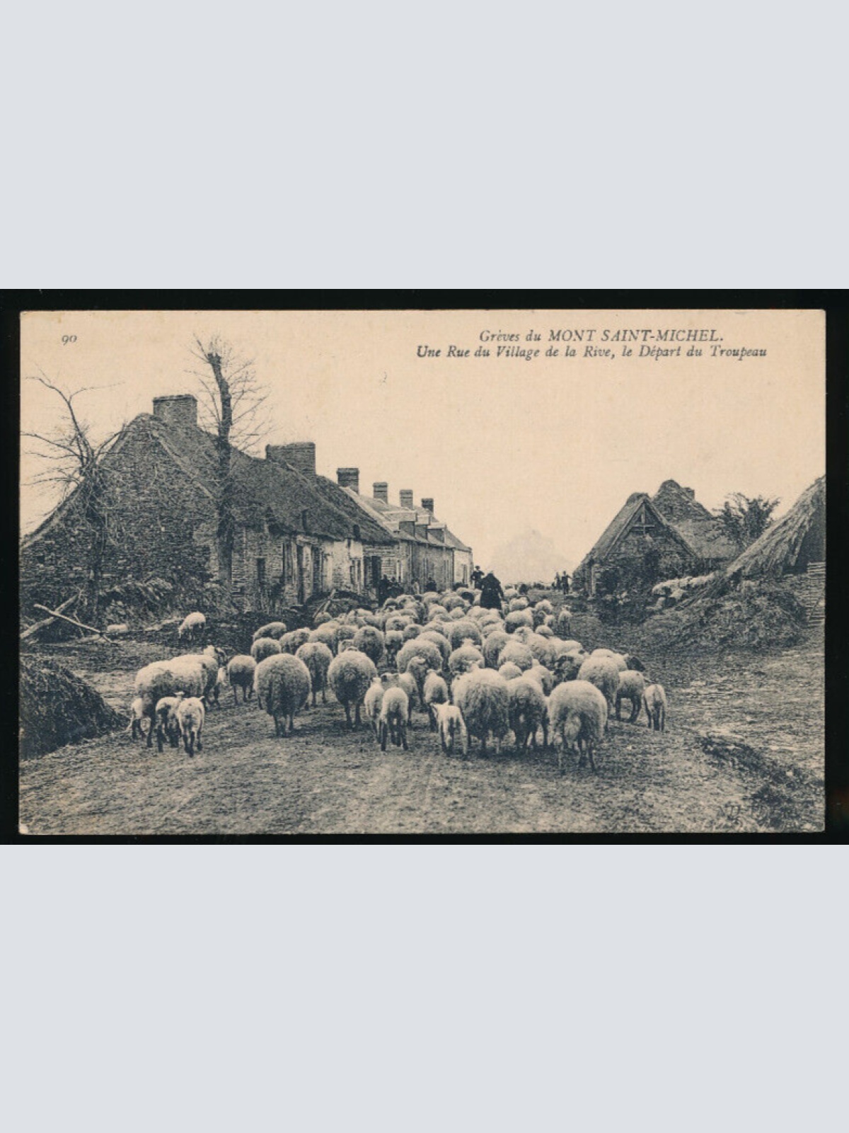 AK aus Saint Michael Bauern mit Schafen Bauernleben (3436)