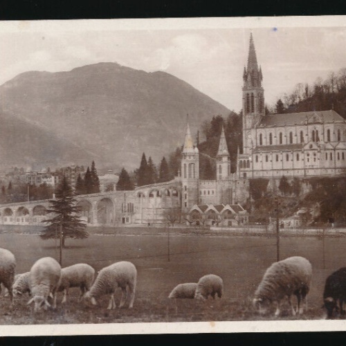 AK aus Lourdes mit Schafen Bauernleben (3440)
