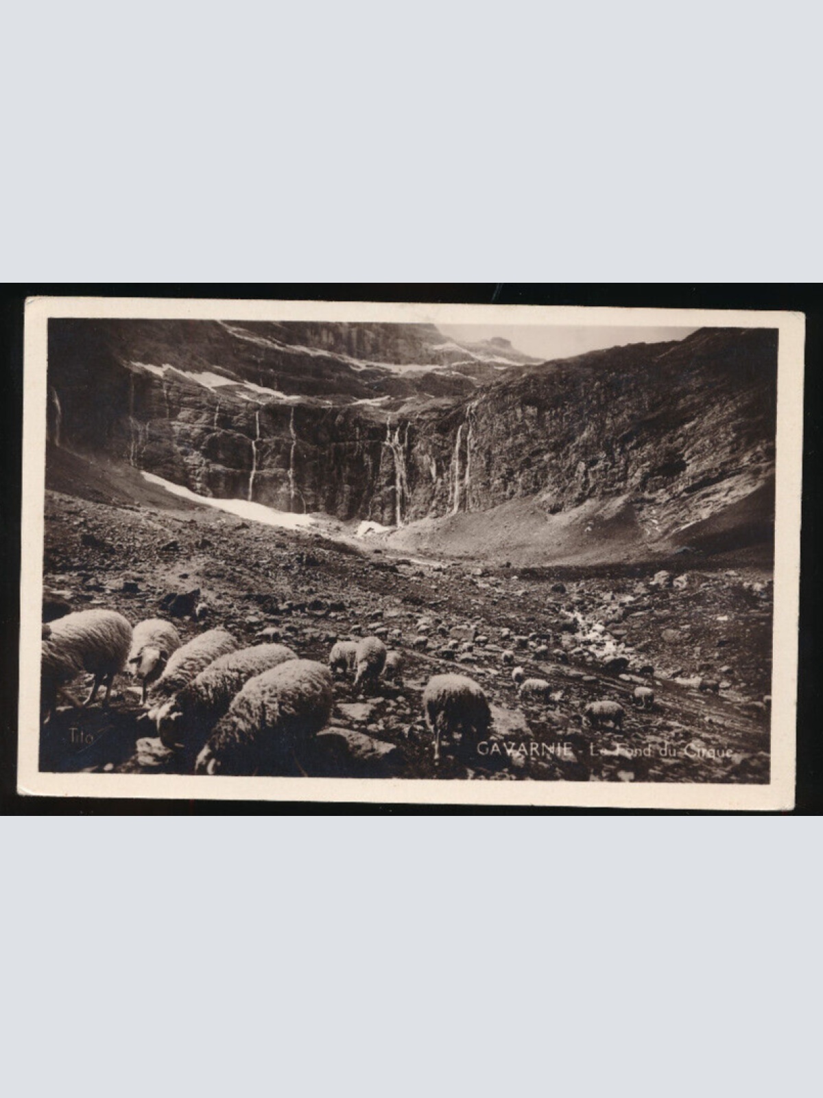 AK aus Gavarnie mit Schafen Bauernleben (3441)