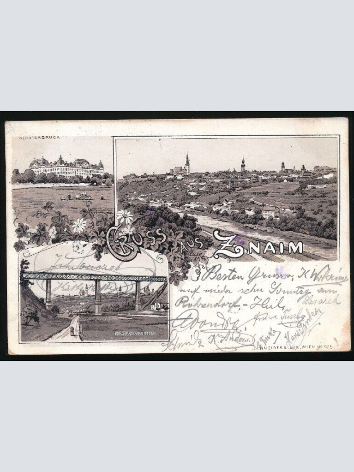 Litho - Karte gruss aus Znaim Tschechoslowakei (2893)