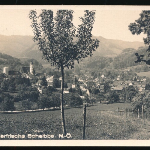 AK aus Scheibbs Niederösterreich (3601)