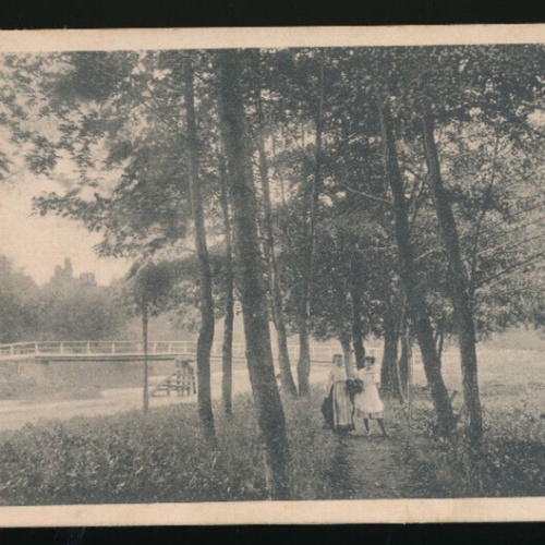 AK aus Senftenberg Niederösterreich (3412)