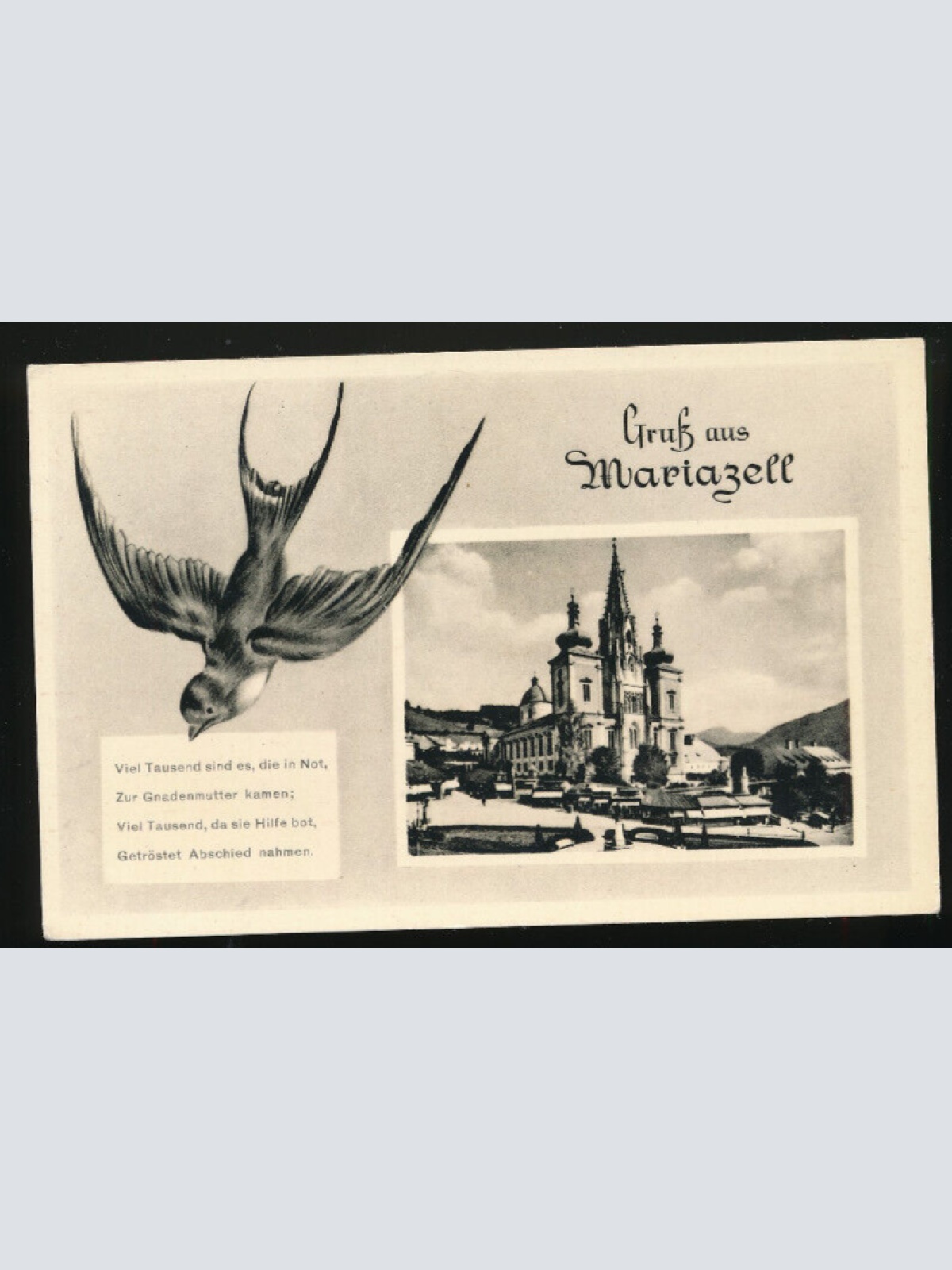 AK aus Mariazell mit Schwalbe und Spruch : viel Tausend ... Steiermark (3828)