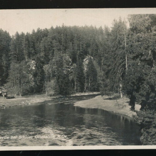 AK aus Ottenstein Niederösterreich (3982)