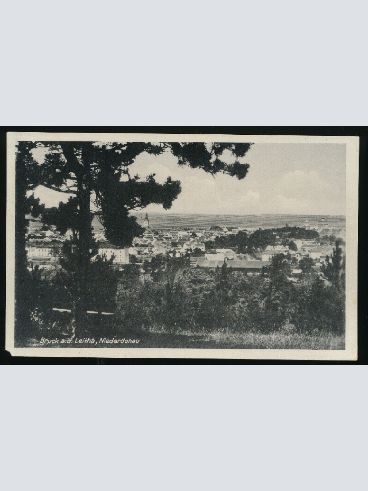 AK aus Bruck an der Leitha Niederösterreich (3971)