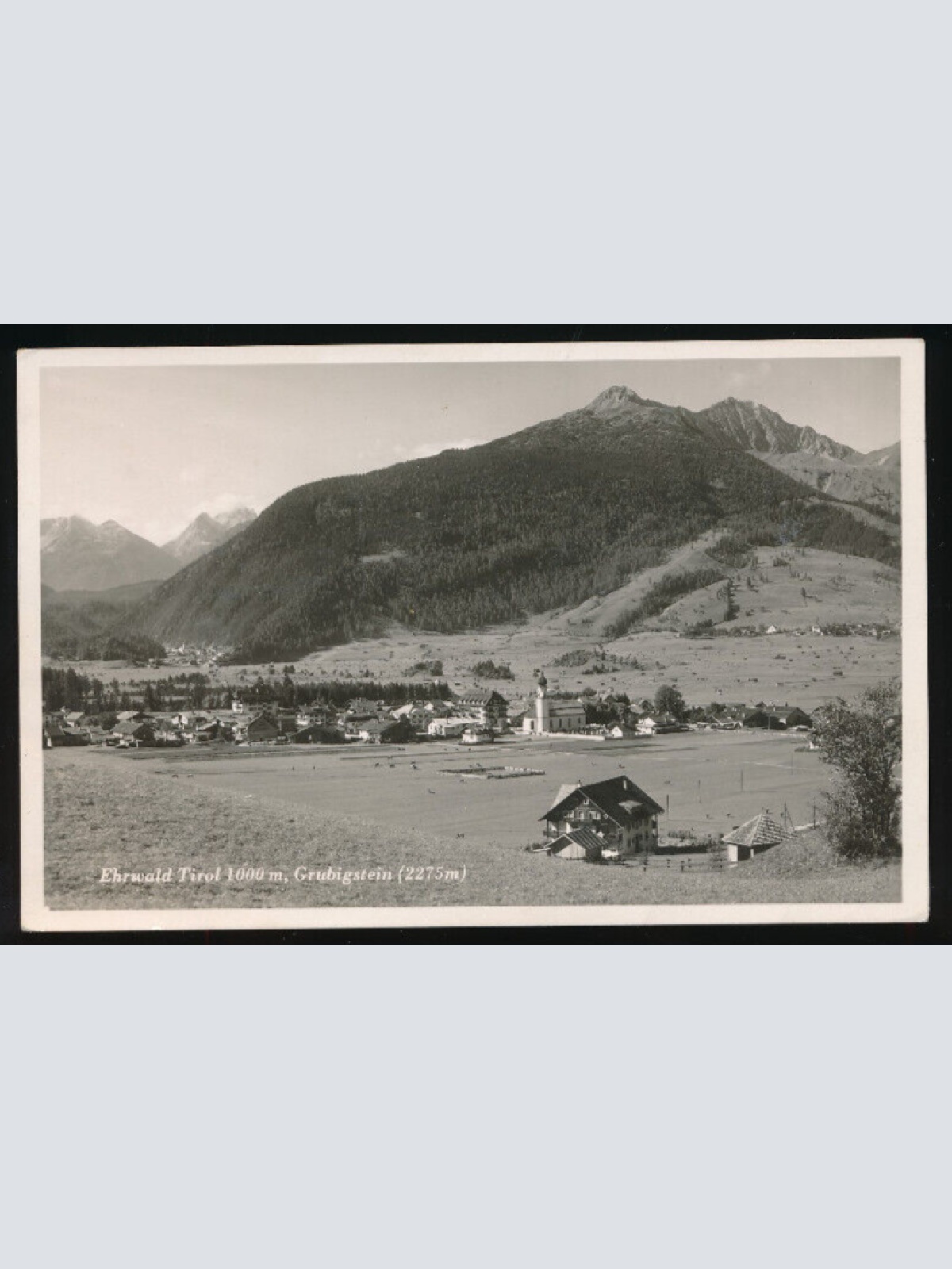 AK aus Ehrwald Tirol (3875)