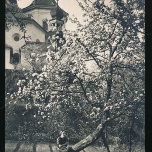 AK aus Traunkirchen Oberösterreich (3924)